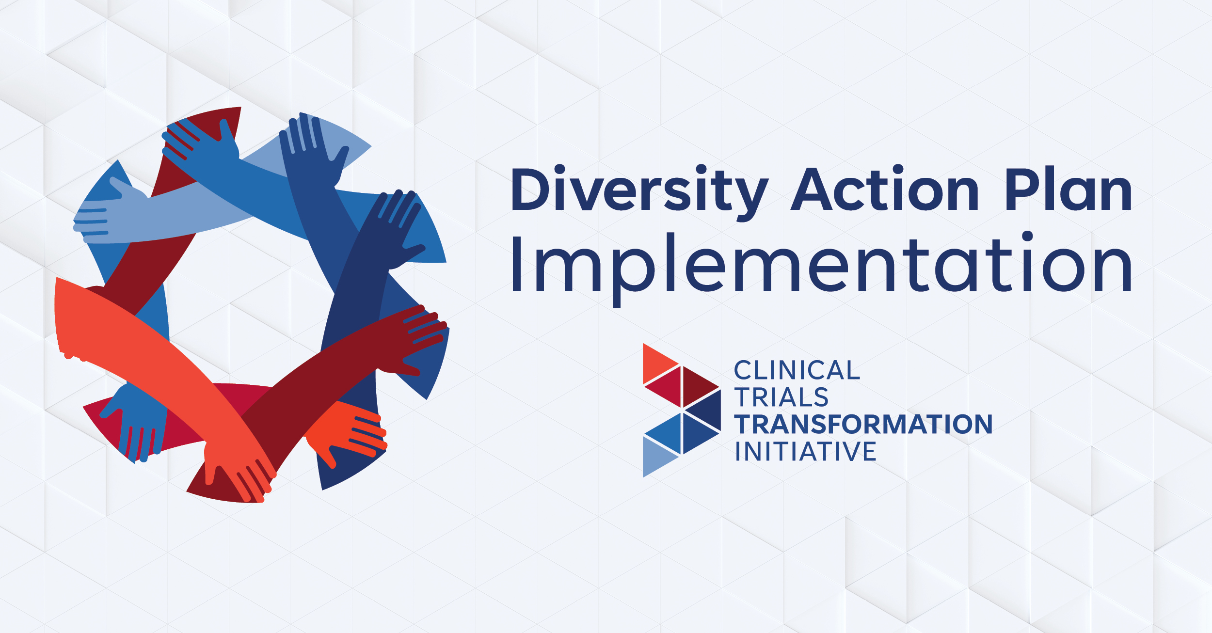 Diversity Action Plan Implementation